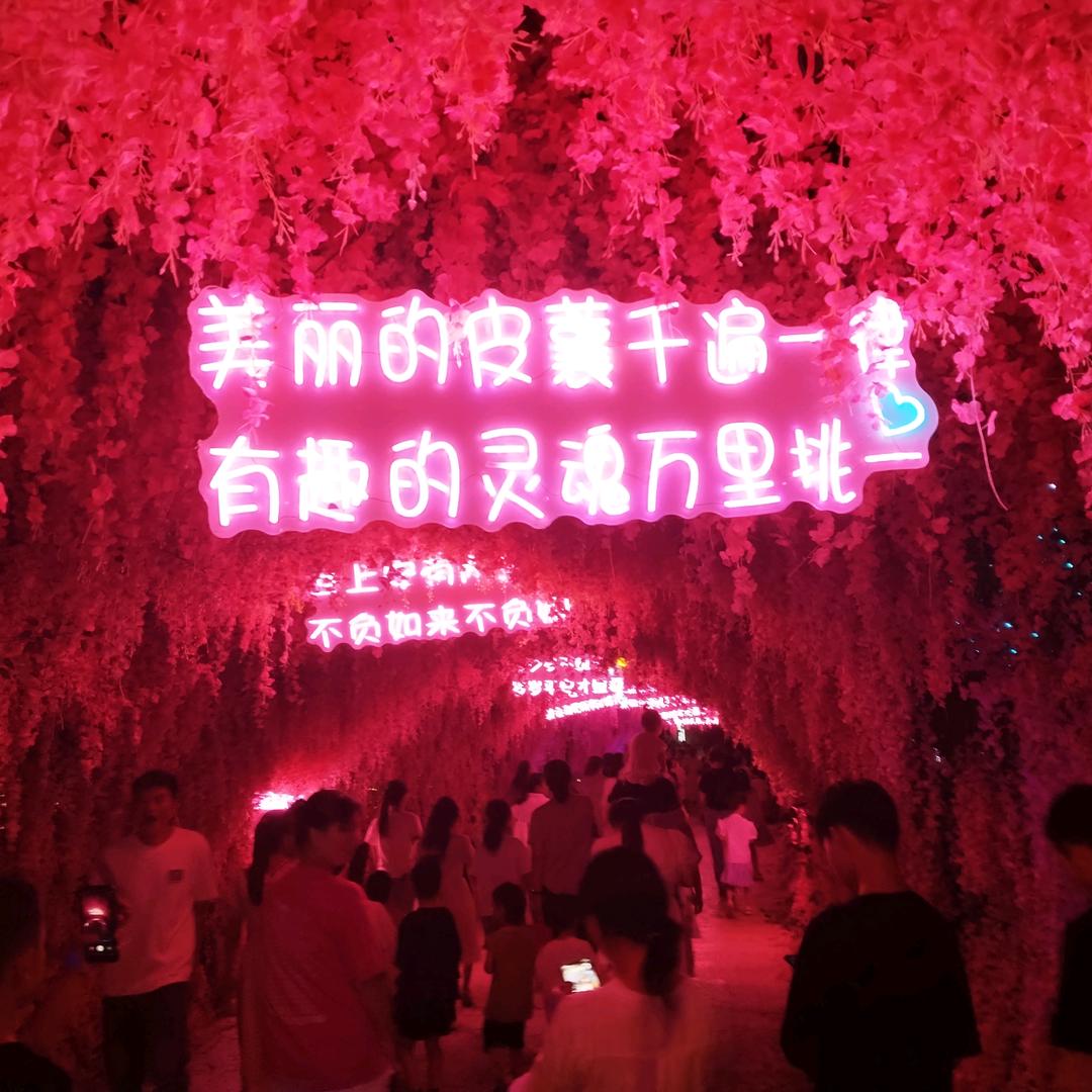 一天三顿饭
