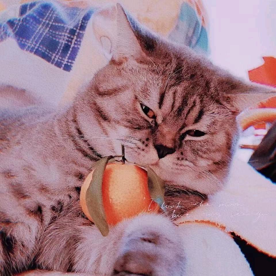 唯以合百货