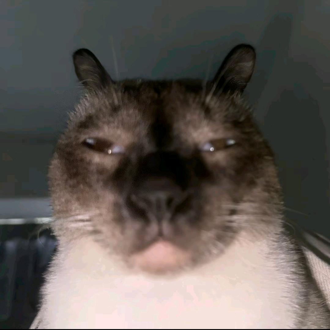 整点薯条🍟🍟