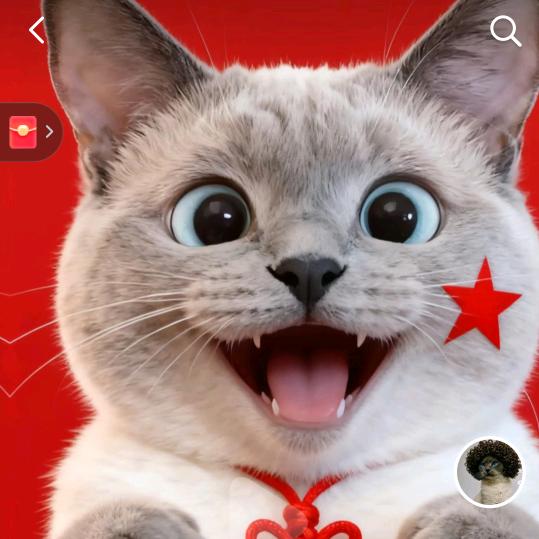 大飞是个猫