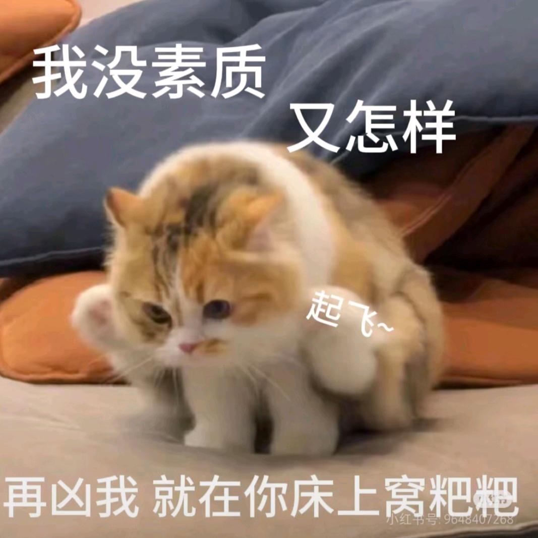 玖枝格格