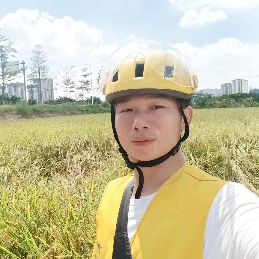 雁南飞（小确幸）