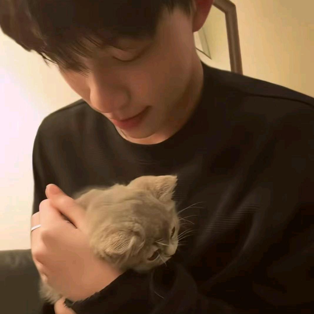 木泽（国服李信）