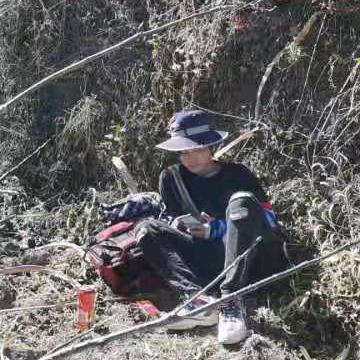 雾倾