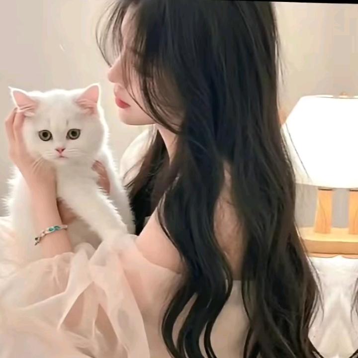 苗海彬头像