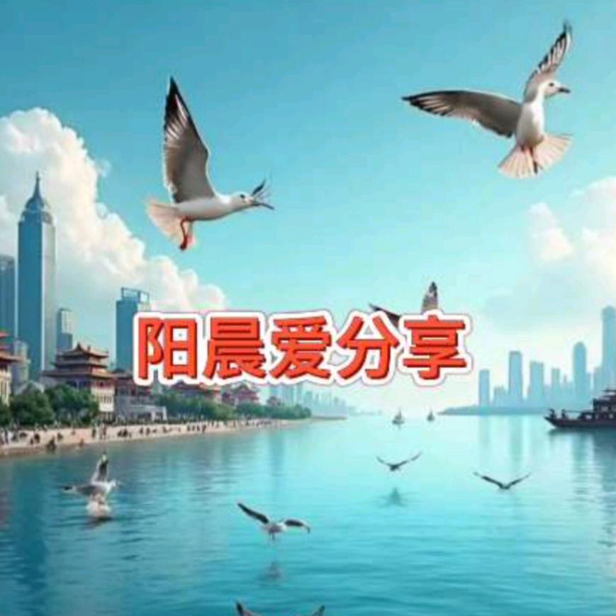 阳晨爱分享