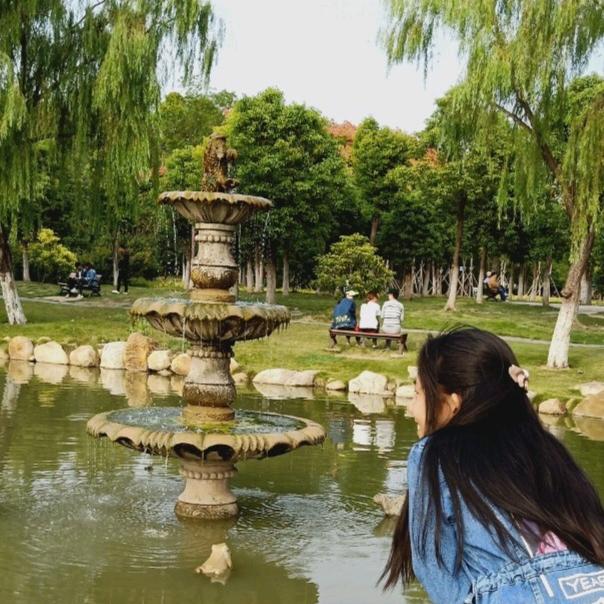 温暖的阳光