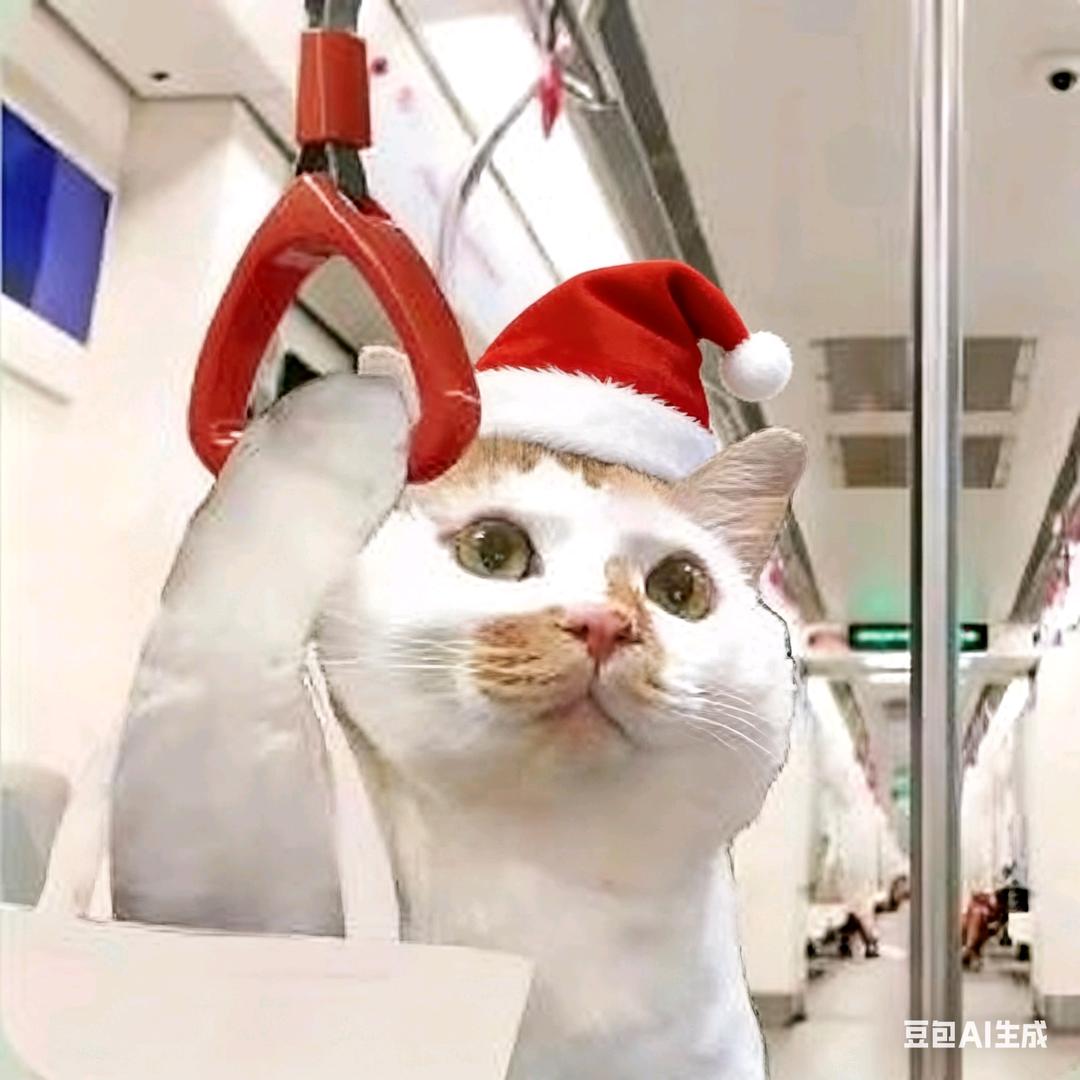 808bass🌵《自律版》