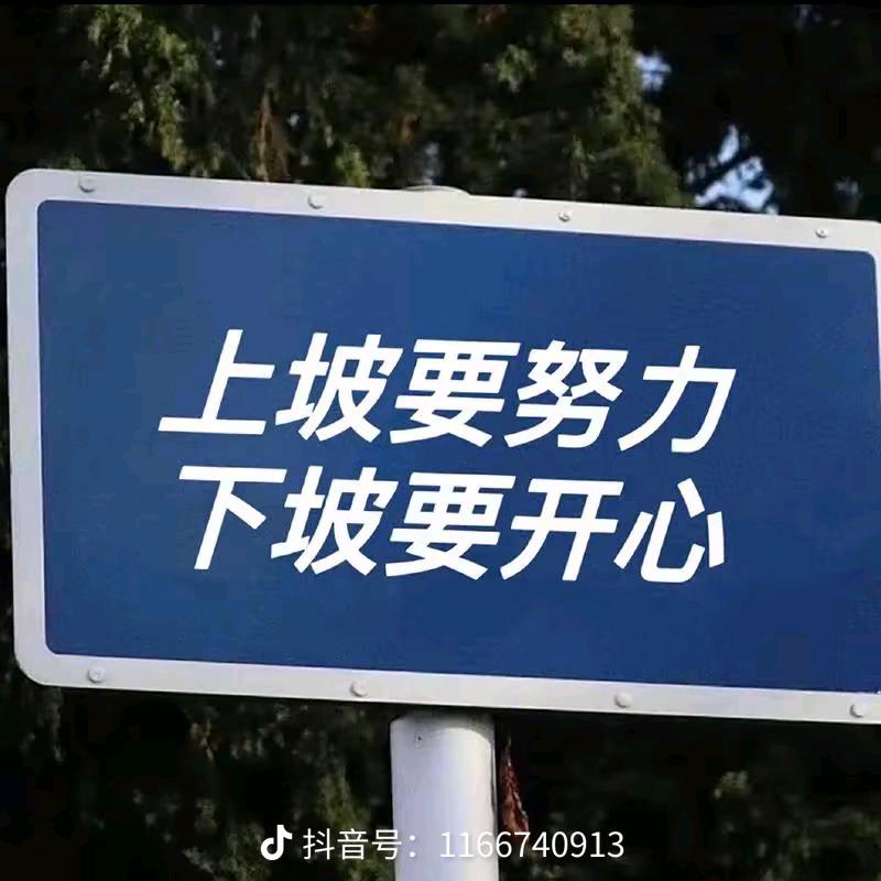 鑫鑫麻麻