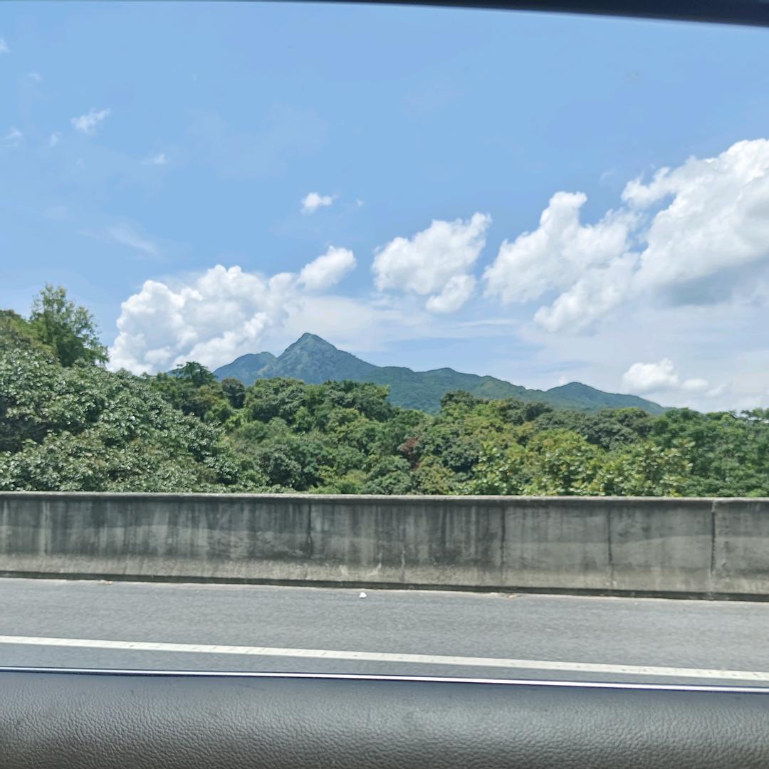 千年胡子