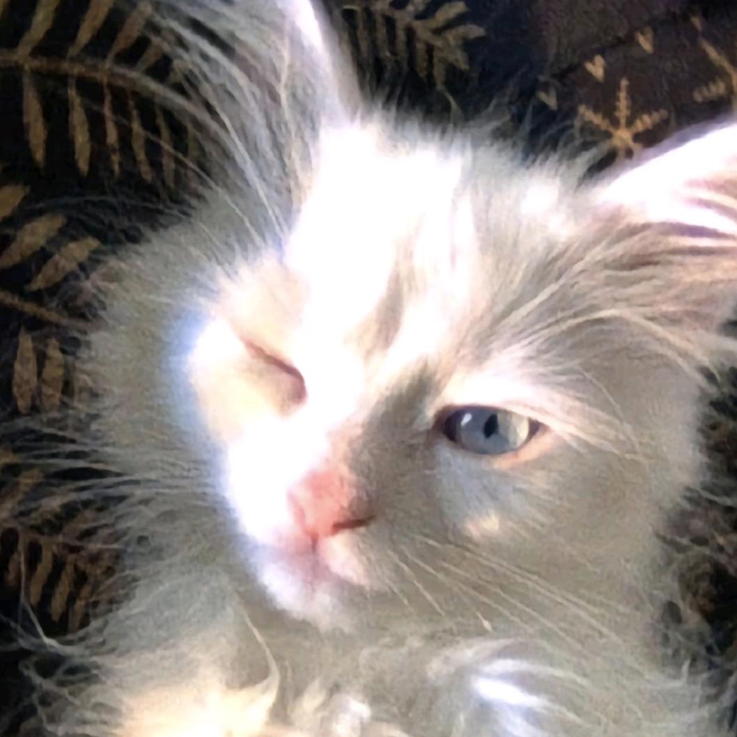 许愿拥有一口气吃下十包火鸡面的胃