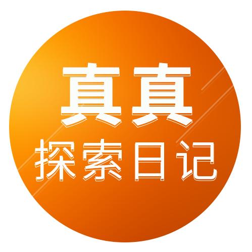 真真探索日记