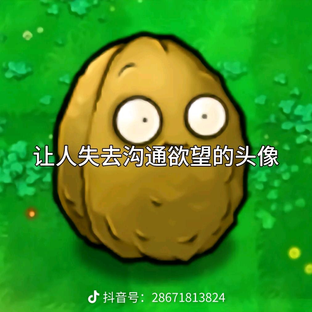 娱乐娱乐