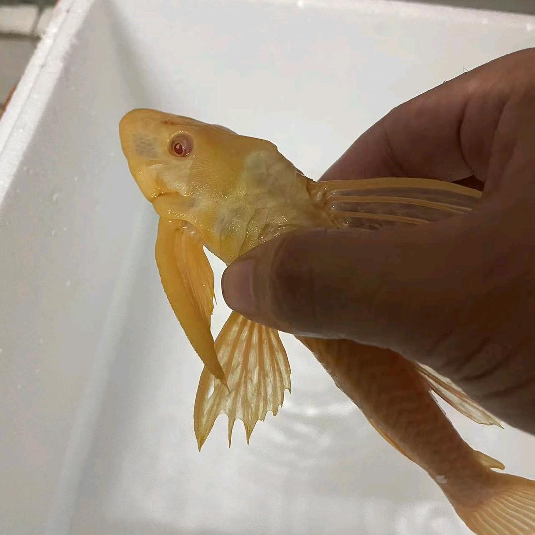 鱼乐无穷水族馆1号分馆