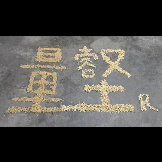 临沂蝶恋宝