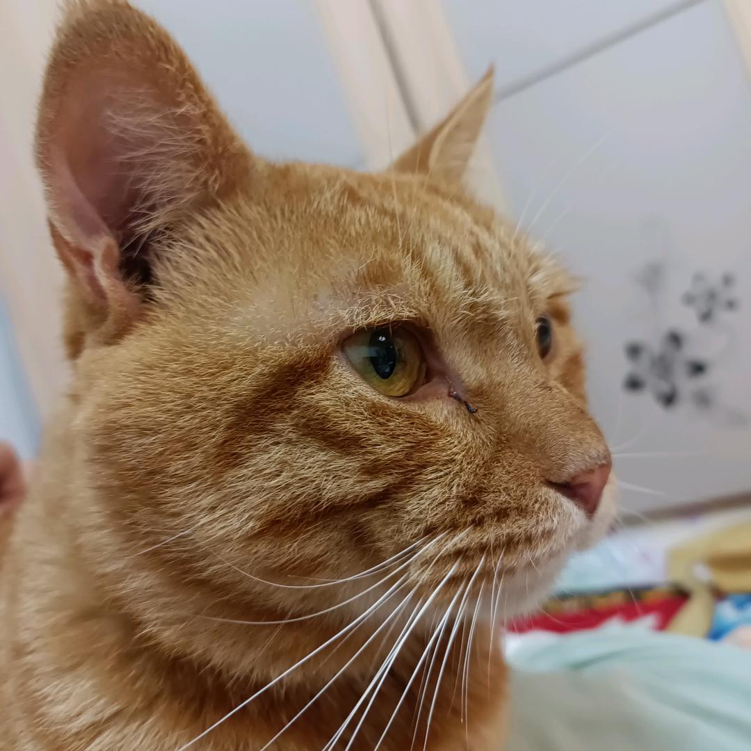 顺其自然.