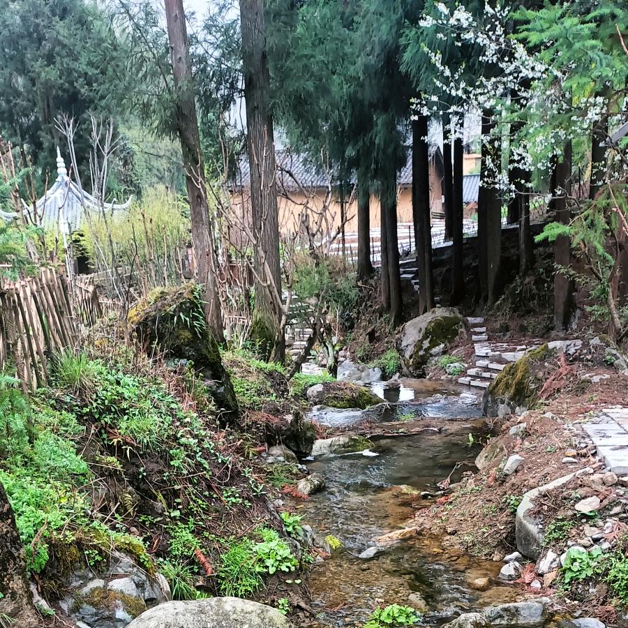 雪花不飘我不飘青岛不倒我不倒拒绝私聊