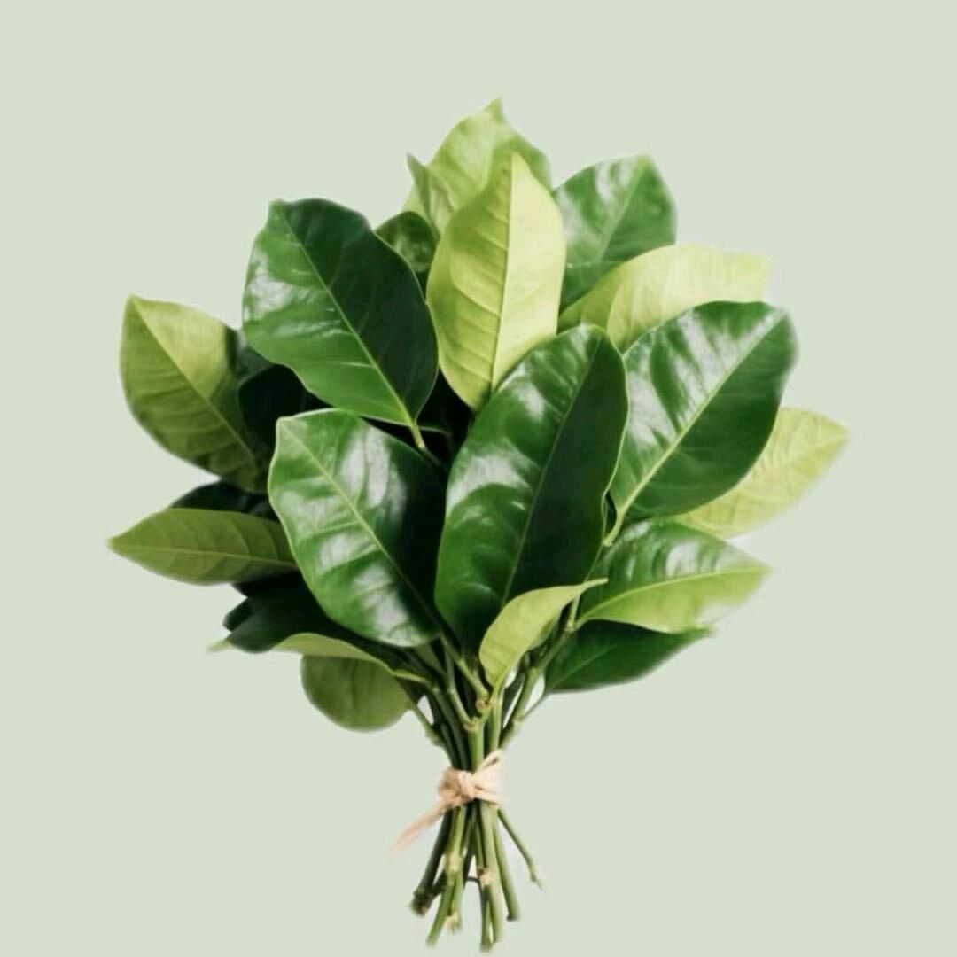 張阿曼