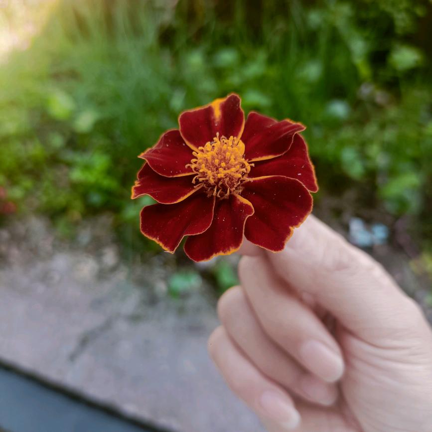 ༽ཽ²º²⁵༼ཽ༉ღ