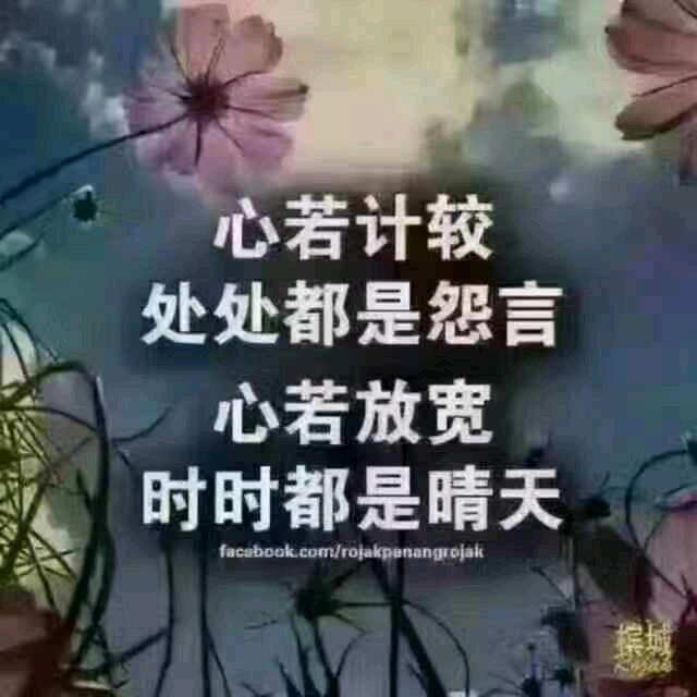 淡忘🍀忧伤