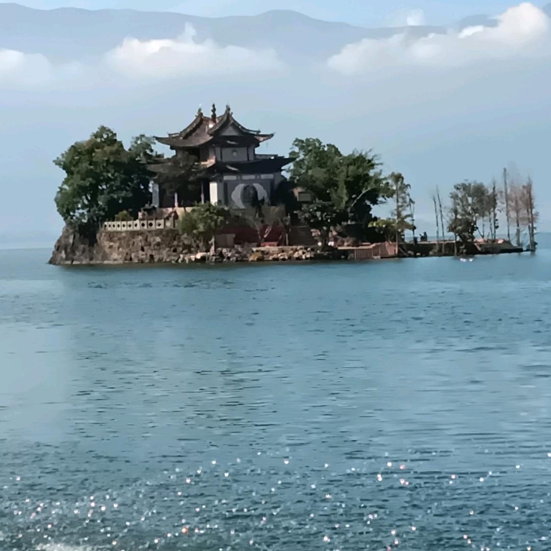 老唐助农