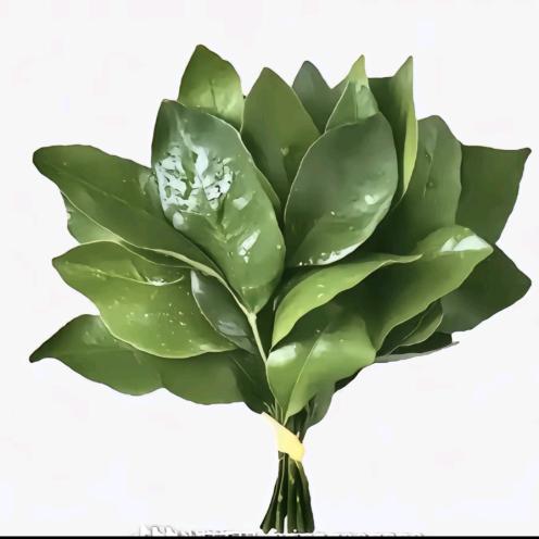 才不是小气包