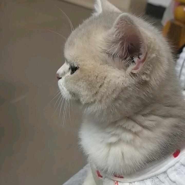 @✨向阳而生☀️