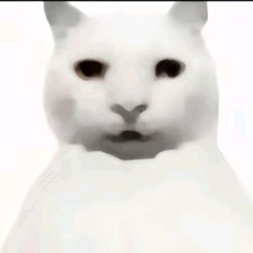 🌈🌈🌈枫里看花海