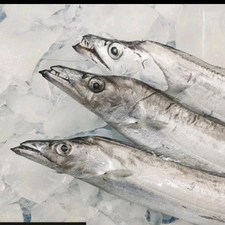 出海啦（船老大）