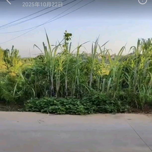 自渔自乐6525，19237131769