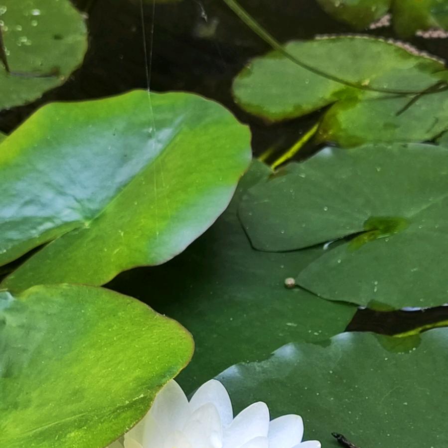 正