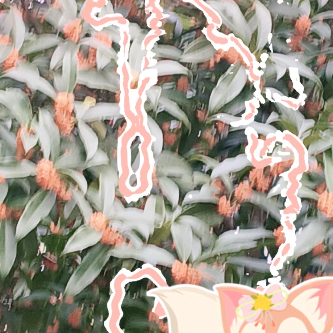 🌲🐲🌲🎄🪸🌹🪷🌺🍇