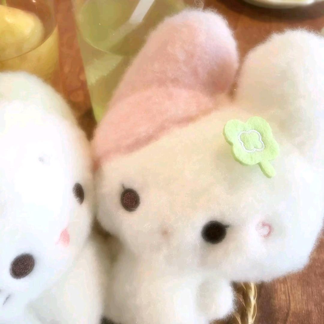 小杏芙
