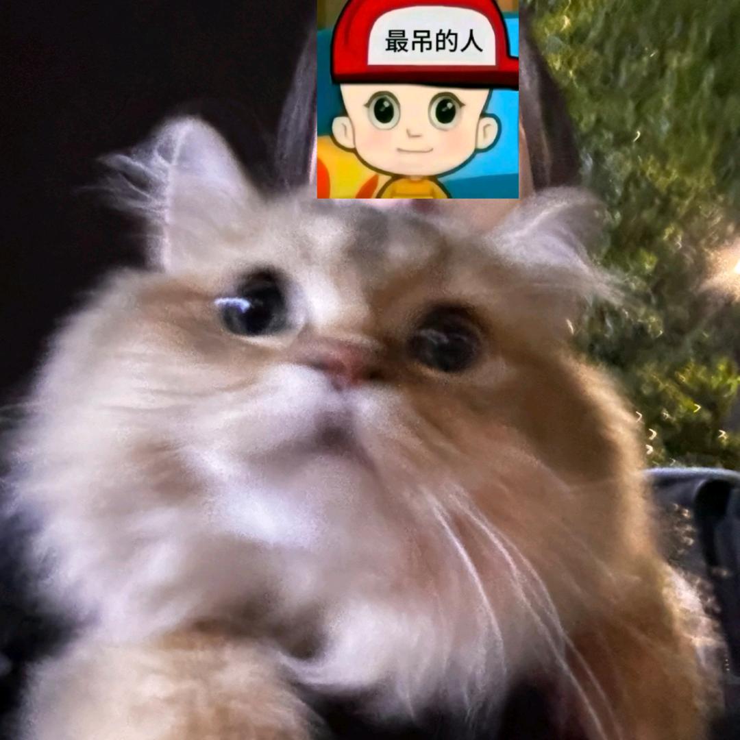 老公你说句话啊