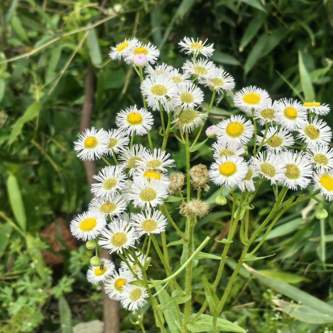 ໑ຼₒ₂₅ღ᭄琳🕊꧔ꦿ᭄💞໑ຼₒ₂₅