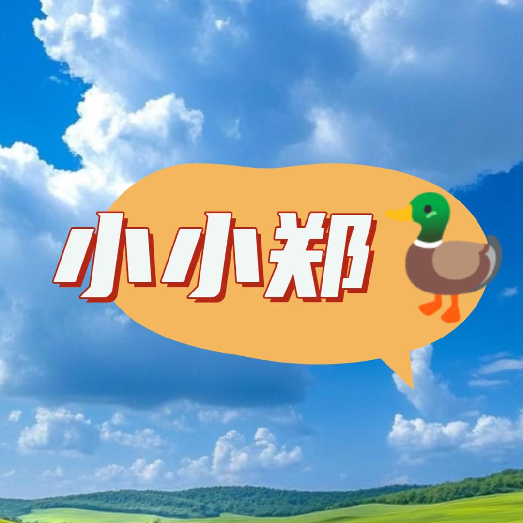 小小郑🦆