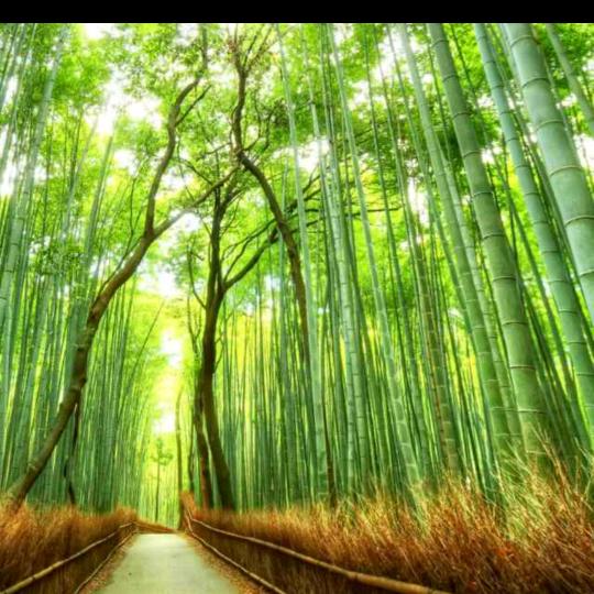 一生平平安安一家人