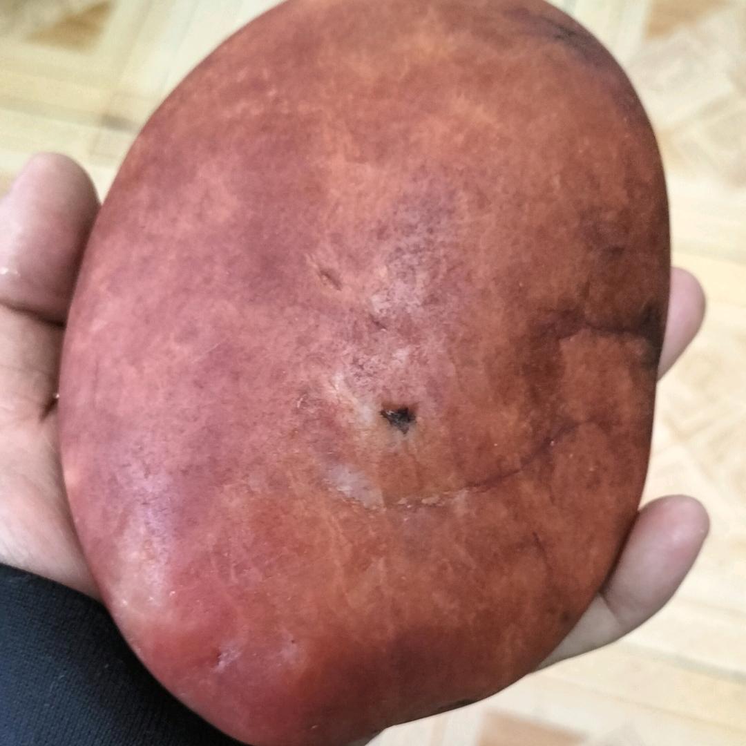 逍遥游天