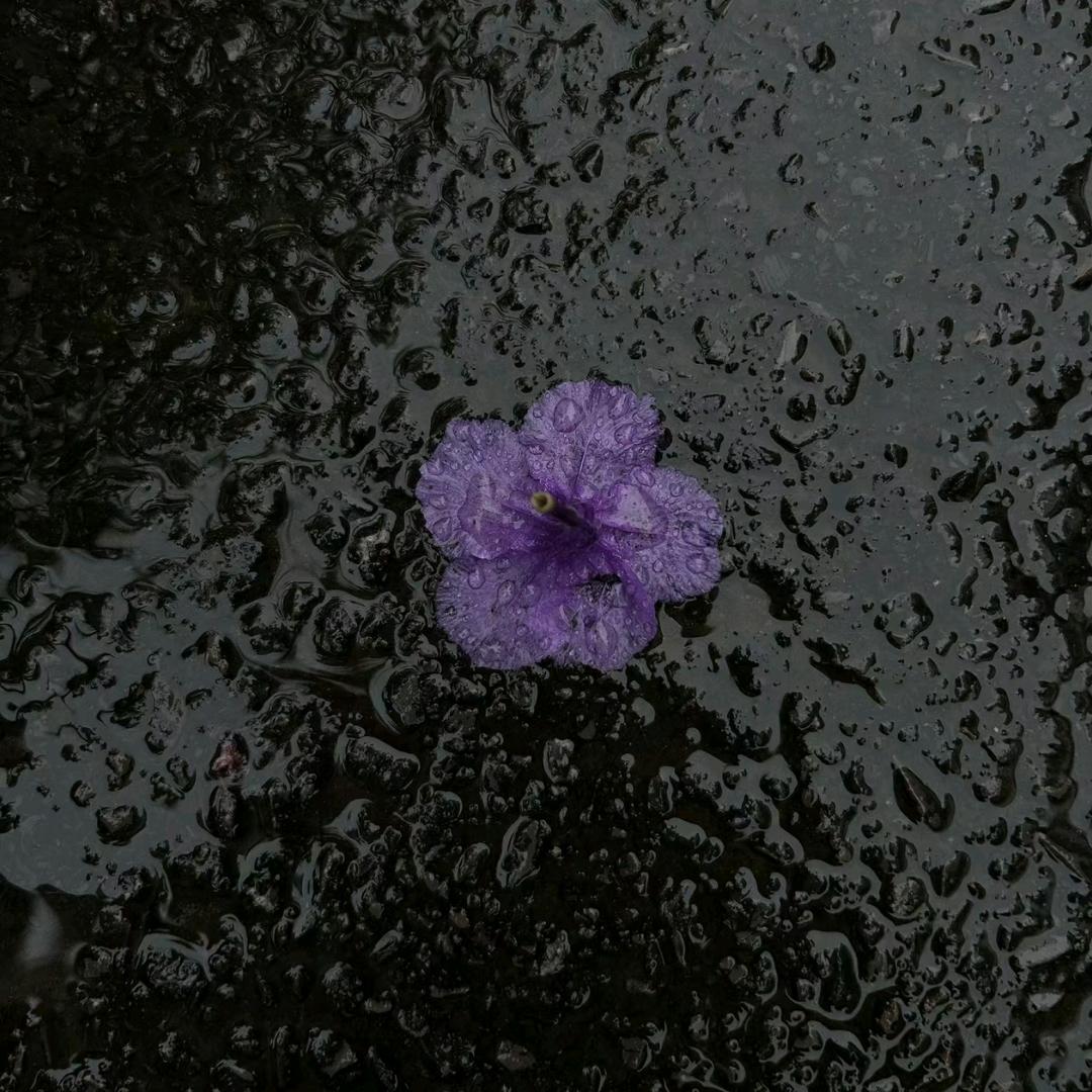 破而后立