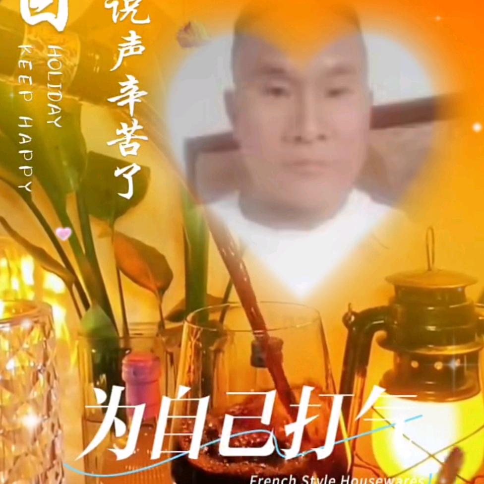 自由飞翔