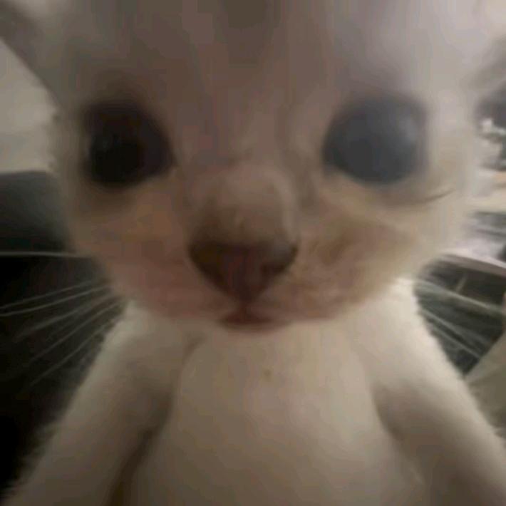 Re