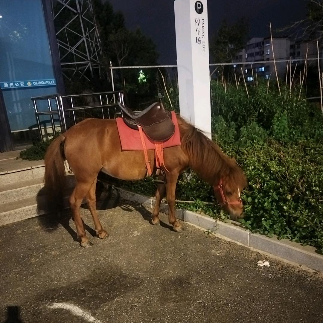 财源滚滚
