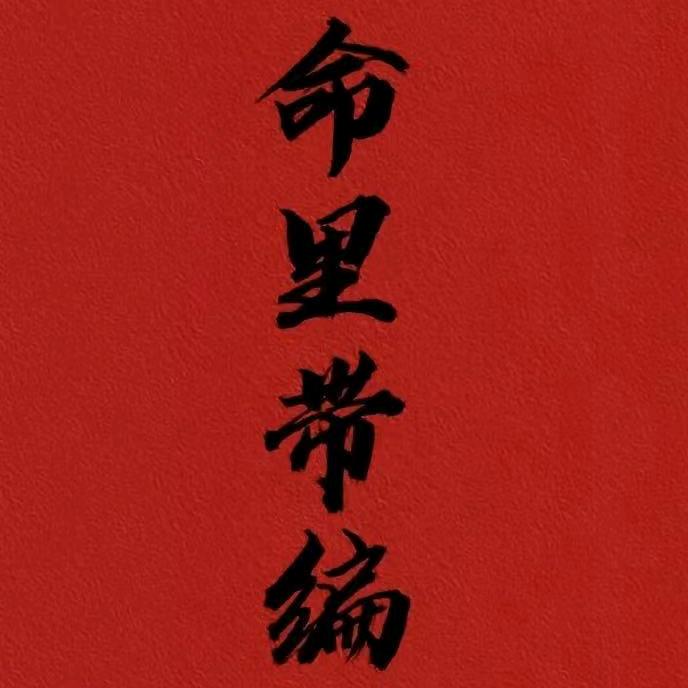 重生之上岸日记