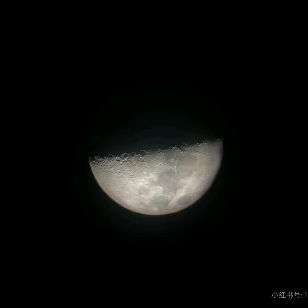爱逛DL（可代购）