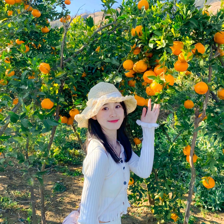 夏夜晚风