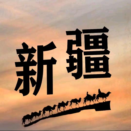新疆升学规划