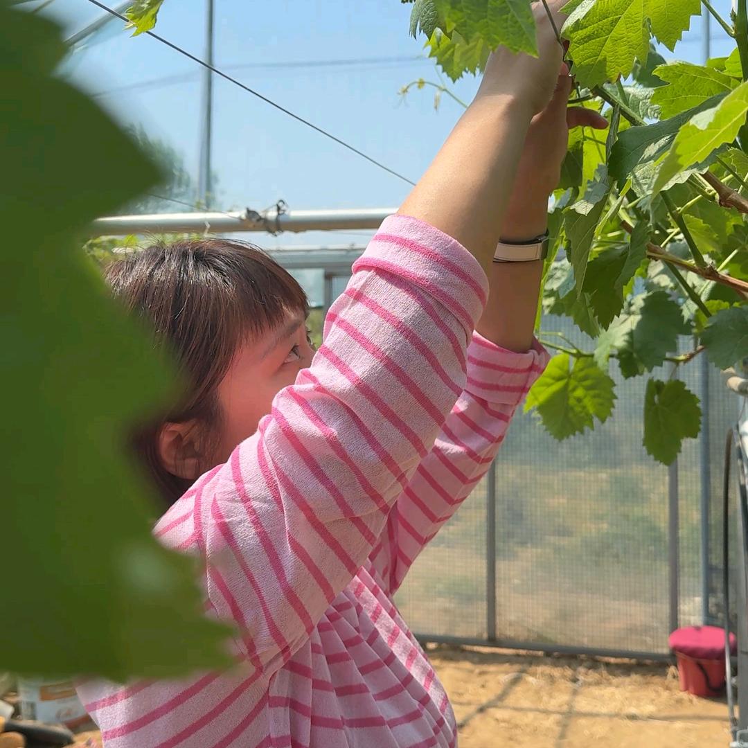 蓝丢丢的快乐农场