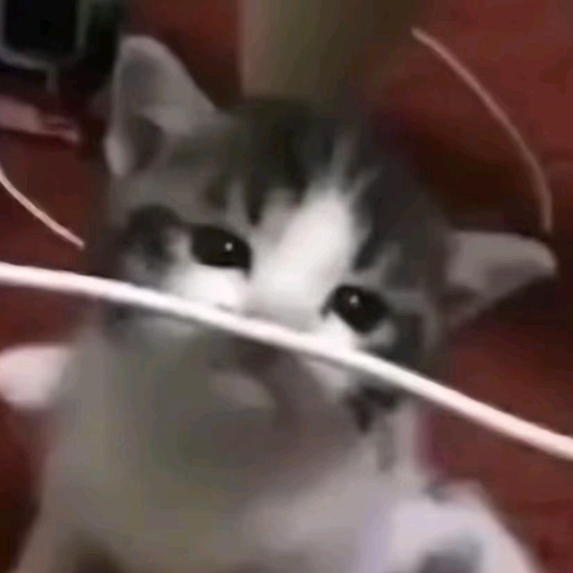 源小王