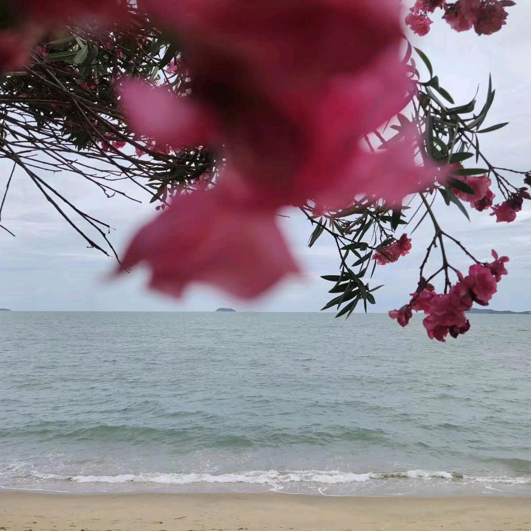 听风观海