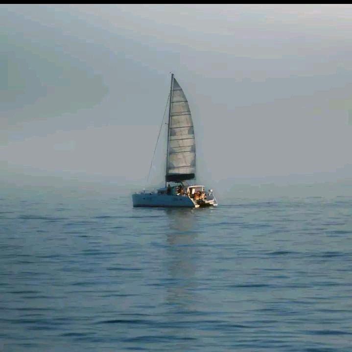 专业建筑楼房，平房……